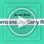 Morrisons Jig Kerry Reel